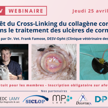 L’intérêt du cross-linking du collagène cornéen pour le traitement des ulcères  – Dr Franck FAMOSE