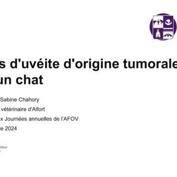 Cas clinique : Un cas d’uvéite tumorale chez un chat – Dr Matthieu BOTT