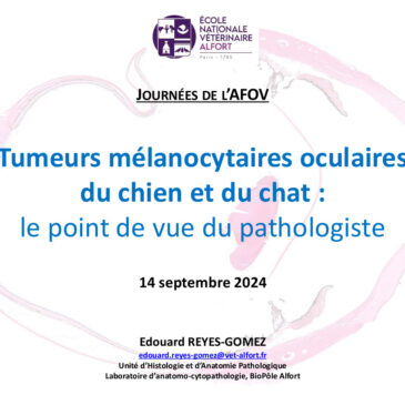 Les tumeurs mélanocytaires de l’oeil du chien et du chat : le point de vue de l’anatomo-pathologiste – Dr Edouard REYES-GOMEZ