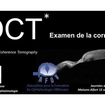 Intérêt de l’OCT pour l’examen de la cornée – Dr Franck FAMOSE